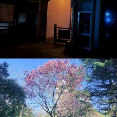 曼居酒店(昆山花桥店)·西餐厅 User Photo
