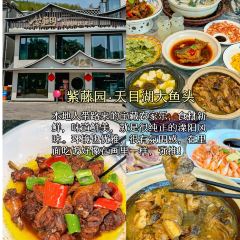 紫藤园·天目湖大鱼头(南山竹海店) User Photo