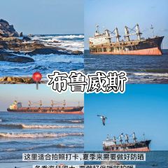 趕海歸來·肥蛤·海鮮燒烤（韓樂坊店）張用戶圖片