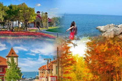 小红鲸·海鲜味道(轸大路店)