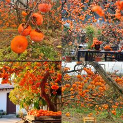 瑶乡饭店 여행 사진