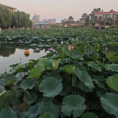 邢家锅贴老店·非遗·开封菜(金明广场店) 여행 사진