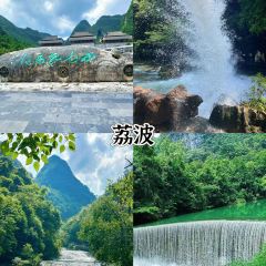 王阿姨梅花糕 User Photo