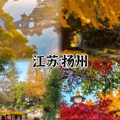 张林阿山姜母鸭(泉州新华北路店) User Photo