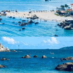 鍾姨糖水（惠城店）張用戶圖片