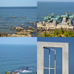 海島日記（養馬島店）張用戶圖片