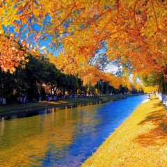 AI SHANG JUN User Photo