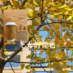 SHANGSHAN TEAHOUSE User Photo