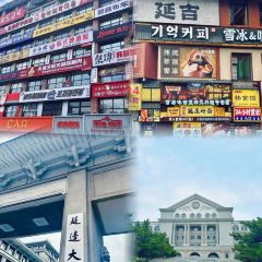 YNN 여행 사진