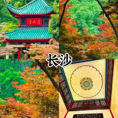 吴记牛骨粉(抚州弄店) User Photo