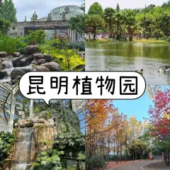 AI SHANG JUN User Photo