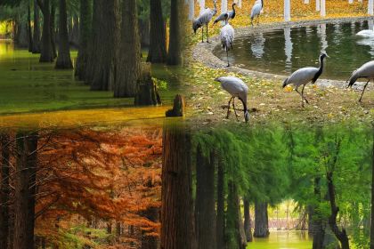 Long Lao Wu Soup Restaurant (ZhanQian West Road)