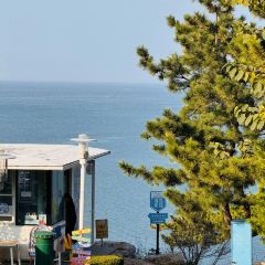 海岛日记(养马岛店) User Photo