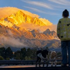 Kuiran Snow Mountain Treehouse Coffee User Photo