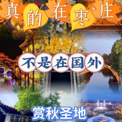 張家界京武鉑爾曼飯店·聚峰閣中餐廳張用戶圖片