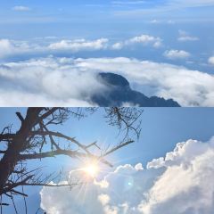 QING LI FAN DIAN User Photo