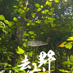 邀月楼 User Photo