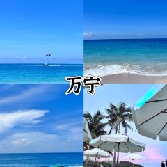 引力沙灘酒吧張用戶圖片