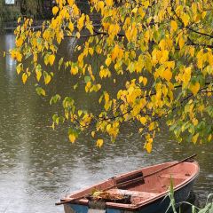 AI SHANG JUN User Photo