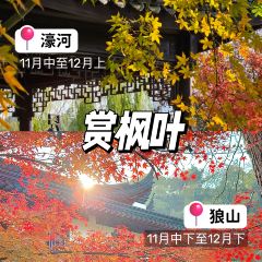 NAN HE TONG User Photo