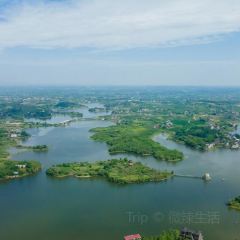 杨氏豆花 User Photo