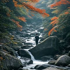 诸暨正宗次坞打面(人民西路店) User Photo