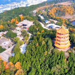 XIANG WEI CUN GU CHANG CAI User Photo