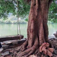 一尺稻田咖啡 User Photo