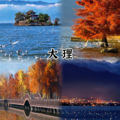 MANFEILONG User Photo