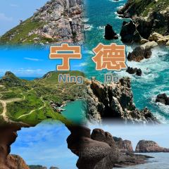 老字号老南门阿旺婆·养生烧仙草 User Photo