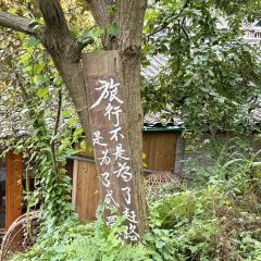 猪圈咖啡屋 여행 사진
