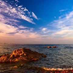 海星辰海鲜大排档(黄金海岸店) User Photo