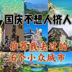 愛尚菌·野生菌火鍋（南屏街百年飛虎樓店）張用戶圖片