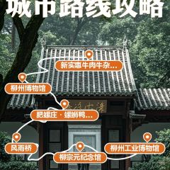 XIN SHI HUI User Photo