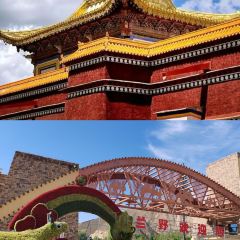 CHUN TAI SHOU ZHUA User Photo