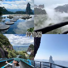 王天顺海苔饼 User Photo