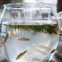 八字台门餐厅 User Photo