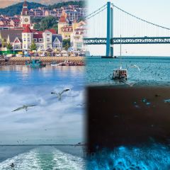 SEAF0OD MASTER User Photo