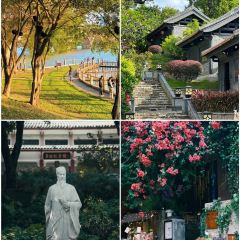 鍾姨糖水（惠城店）張用戶圖片