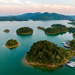 老媽生態餐廳張用戶圖片