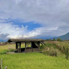 Kuiran Snow Mountain Treehouse Coffee User Photo