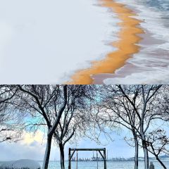 海鑫海鲜烧烤家常菜饺子馆 User Photo