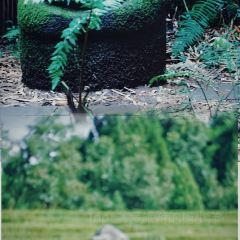 有芬餐馆 여행 사진
