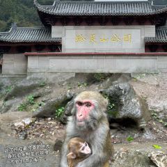 六廣門毛阿姨糯米飯張用戶圖片