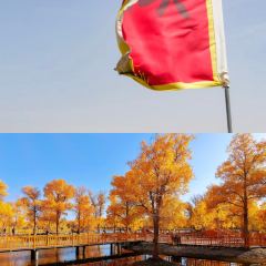 益和居·驴肉黄面(鸣山北路店) User Photo