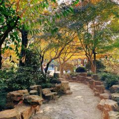 Zhengweizhaiguobacai(Xi Bei Jiao Dian ) User Photo