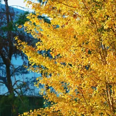 桂記灕江魚家常菜館張用戶圖片