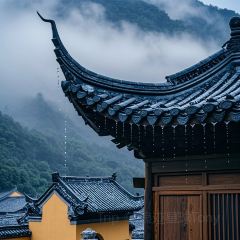 张林阿山姜母鸭(泉州新华北路店) User Photo