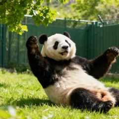 FRESH UNDER THE SEA 여행 사진