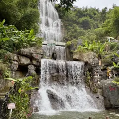 天桥底鸡煲 여행 사진